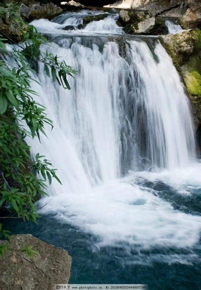 模拟山羊